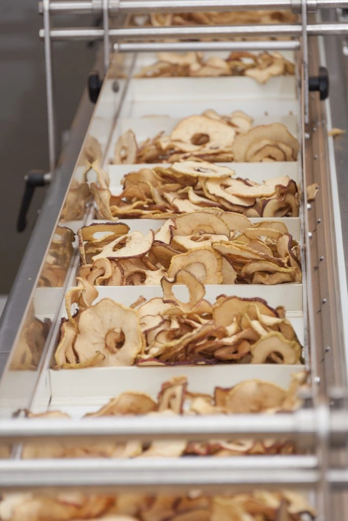 Dried apple slices in production