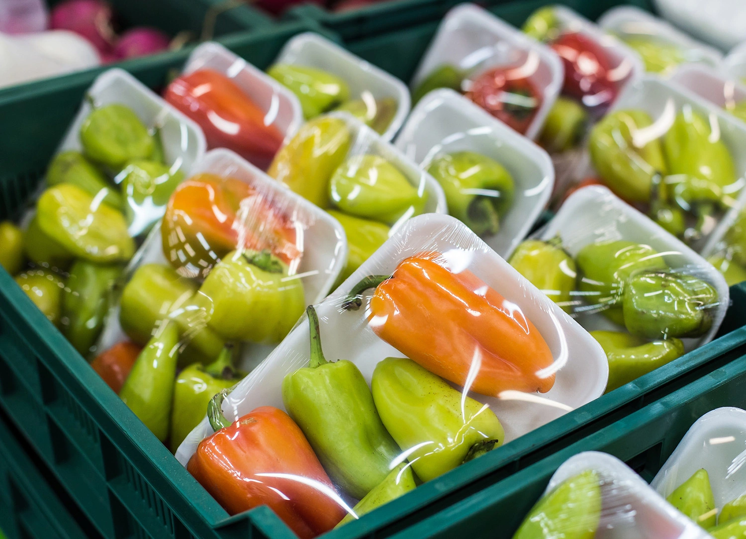 Fresh fruits and vegetables