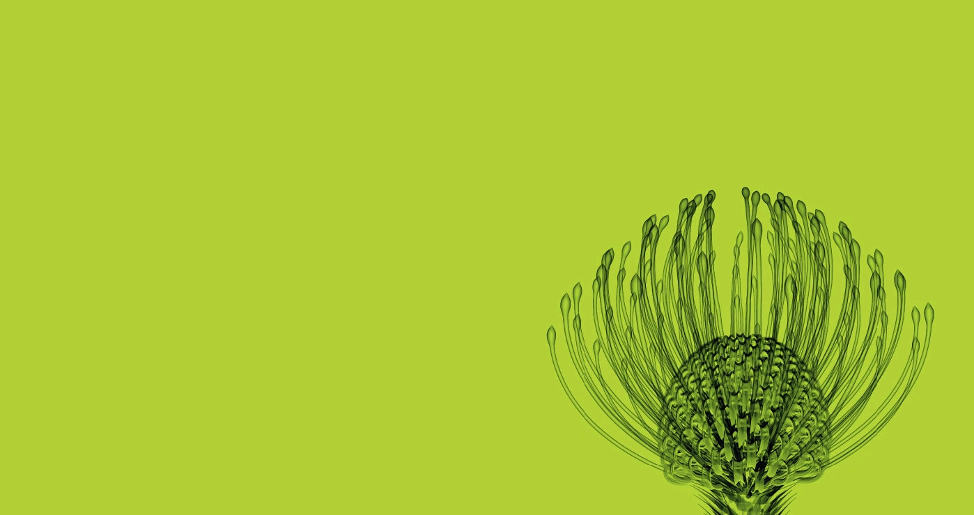 Mekitec X-ray food inspection system examining fish products