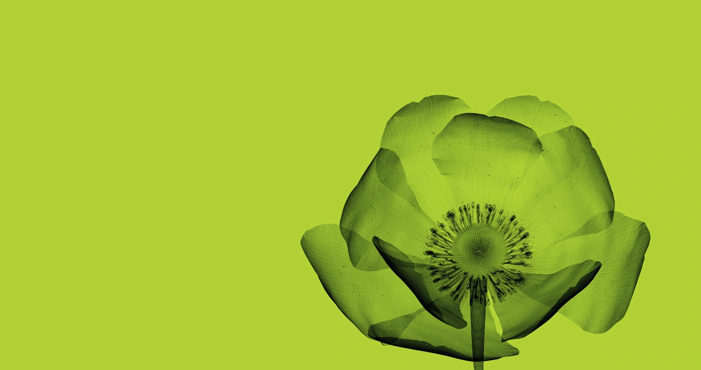 Mekitec MEKI X-ray inspection system