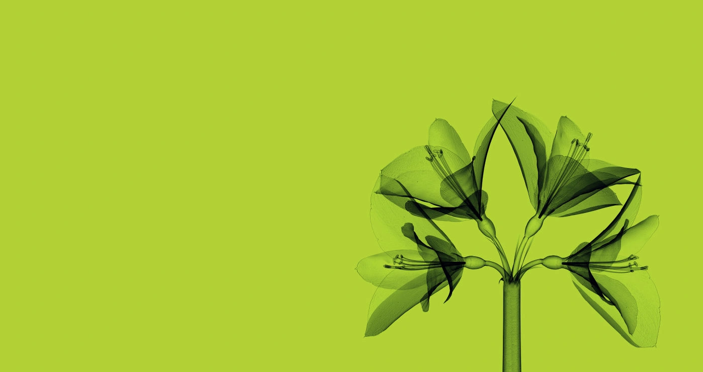 Liebhart's snack products being inspected with Mekitec X-ray technology